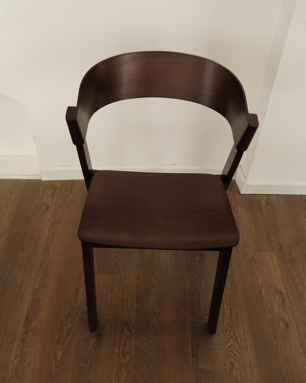 SIENNA - Walnut