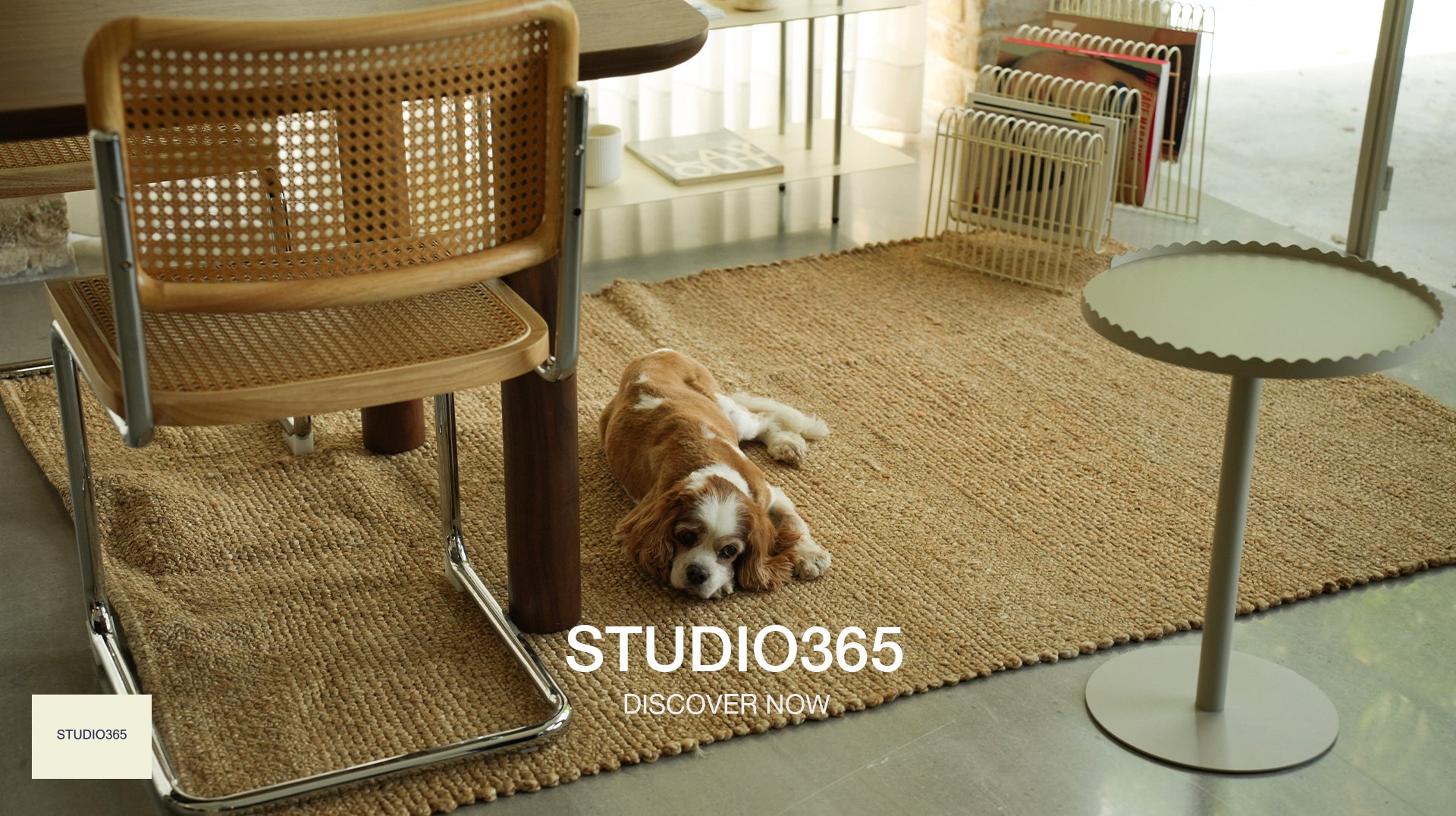 Custom Studio Image